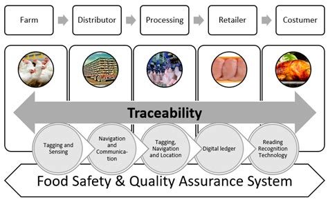 Using AI to Enhance Compliance in Blockchain Transactions
